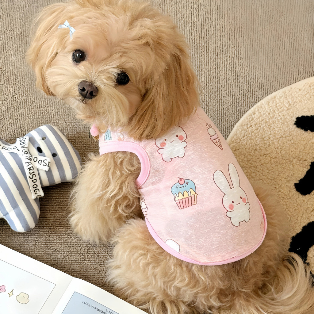 Cão roupas legais roupas para cães estilo fino roupas para animais de estimação primavera roupas anti-fiapos colete verã