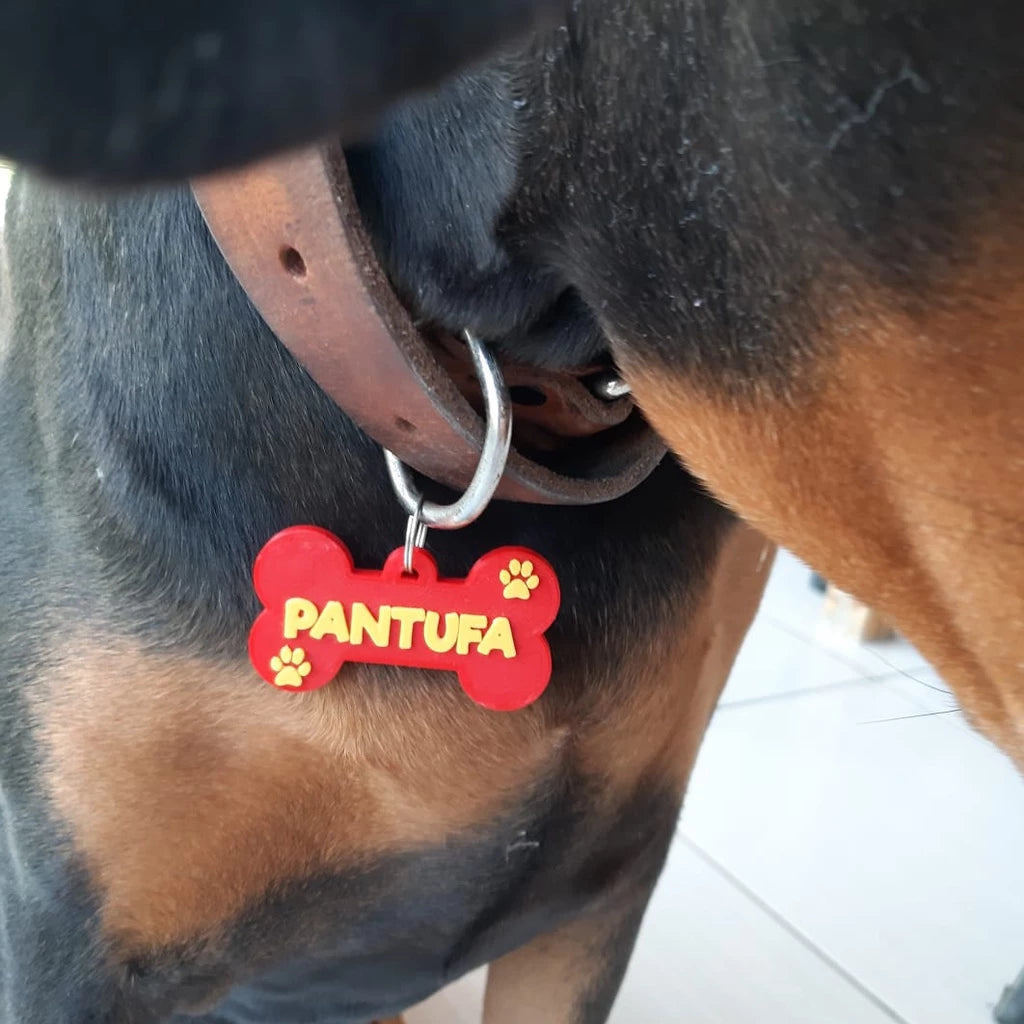 Placa de identificação personalizado para cachorro - Plaquinha para coleira cão e gato
