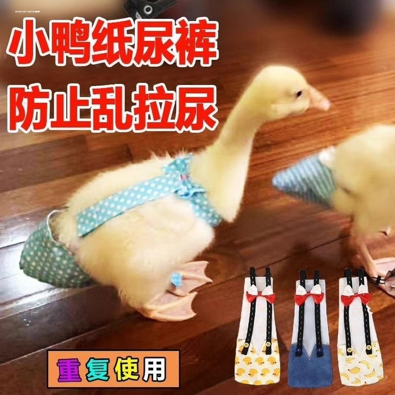 Pet cole pato roupas fraldas influenciador pato fraldas frango ganso fraldas cole pato merda bolsos produtos de higiene