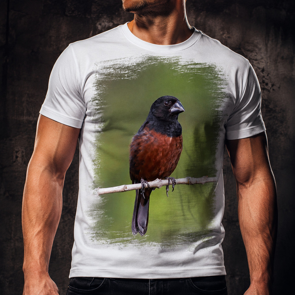 Camisa Camiseta Masculina Ave Pássaro  Curió
