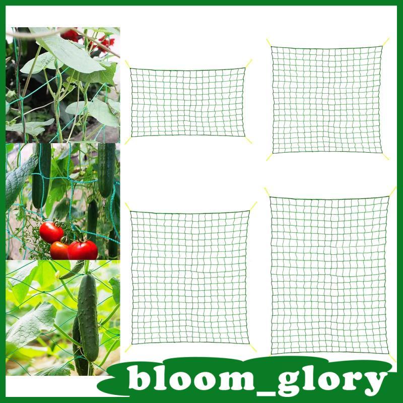 [Bloom_glory] Rede De Treliça De Jardim , Suporte De Plantas Grade Quadrada Para Trepadeiras Videiras , Vegetais , Tomat