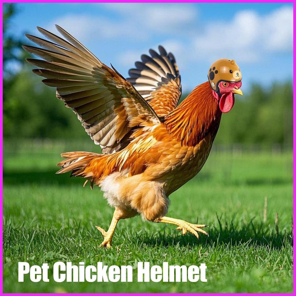Chapéus De Frango Para Galinhas Reais , Chapéu De Galinha Com Alça Ajustável , Arnês De Segurança Pequenos Animais , Pás