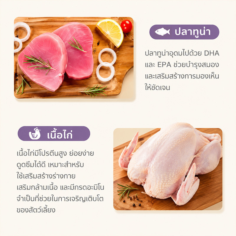 【Ketzuzu】[12/24/48ซอง] อาหารแมวเปียก อาหารเปียกแมว ทูน่า แซลมอน เสริมกล้าม โปรตีนสูง บำรุงผิวหนังและขน อาหารเปียกลูกแมว - ภาพที่ 4