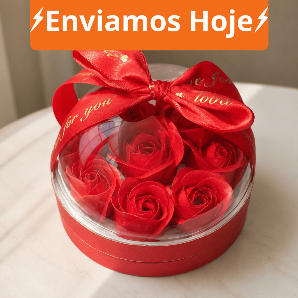 Presente Dia dos Namorados Caixa Rosa Vermelha Com Cúpula Transparente Laço Romântico Para Aliança Casal Amor Luxo