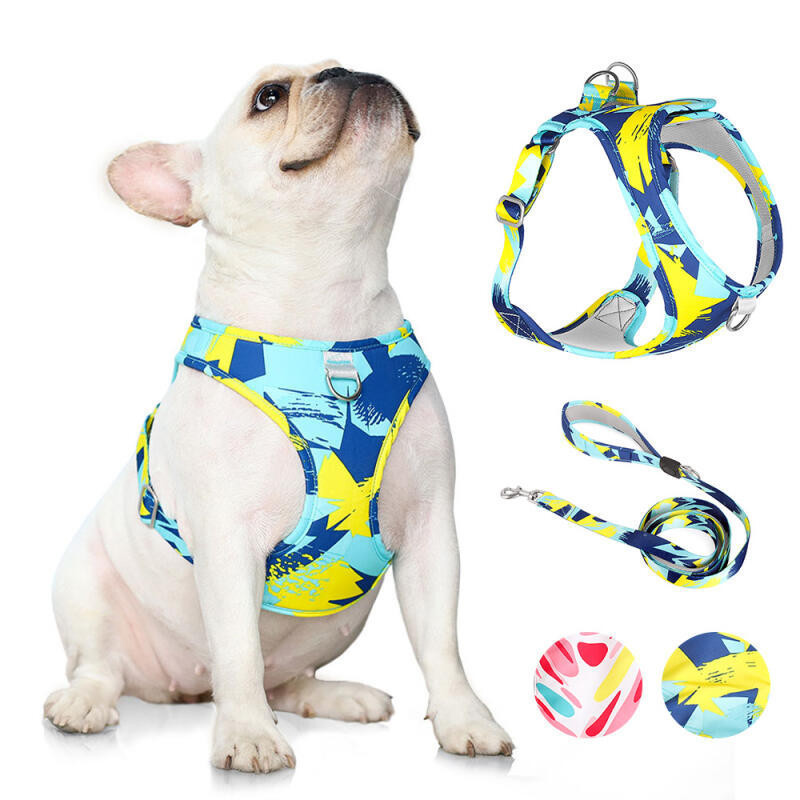 Nova Trela Do Cão Impresso Respirável Pet Peito Arnês Conjunto Anti-Quebra Filhote De Cachorro