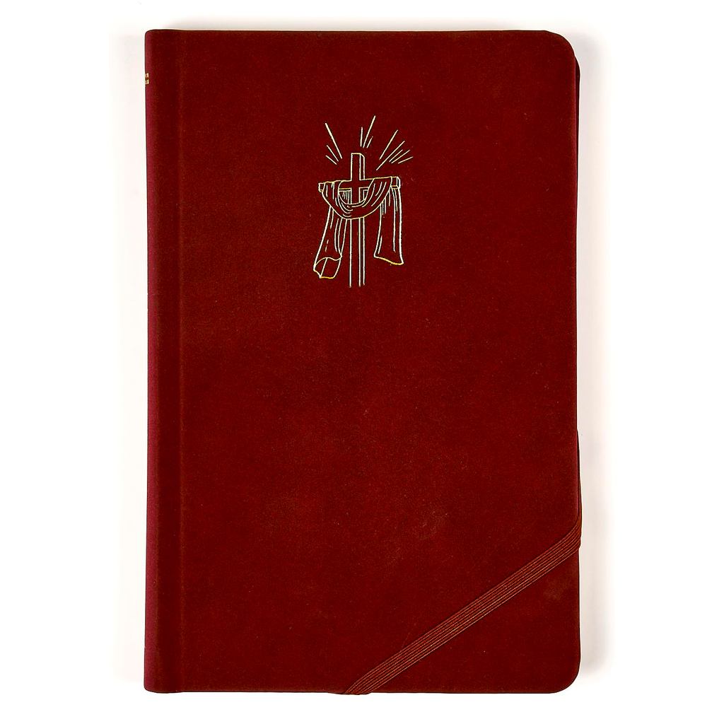 BIBLIA SAGRADA SLIM NVI - LUXO TECIDO CEREJA SOBRE CAPA DURA - COM ELASTICO TRANSVERSAL - THOMAS NEL