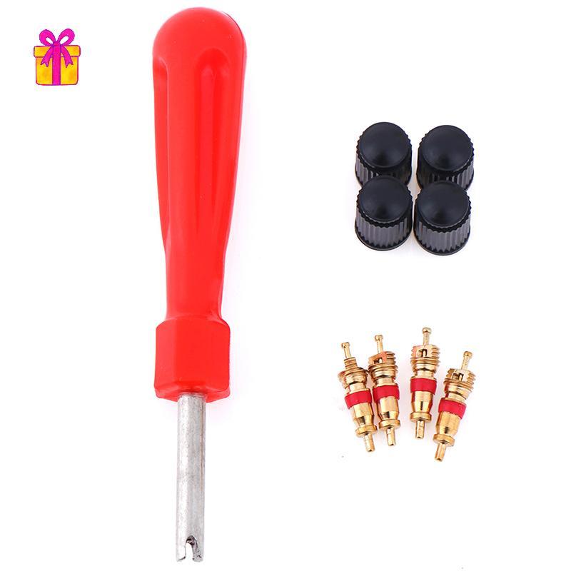 [INTH] 1 Conjunto Kit De Serviço De Válvula De Pneu Núcleos Chave De Fenda Reparo De Pneus Carro Motocicleta [Melhor]