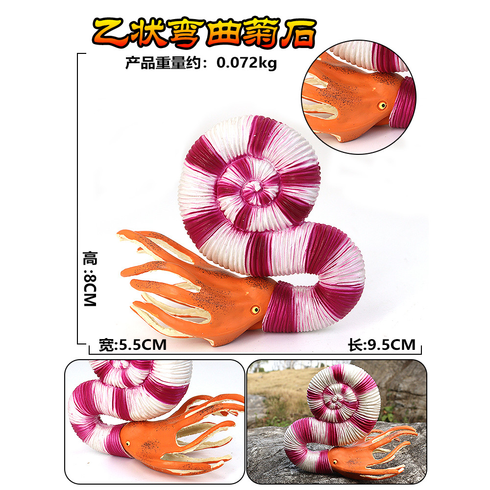Simulação antiga vida marinha papagaio caracol trevo Worm formado amonite modelo brinquedos plástico divisão das criança