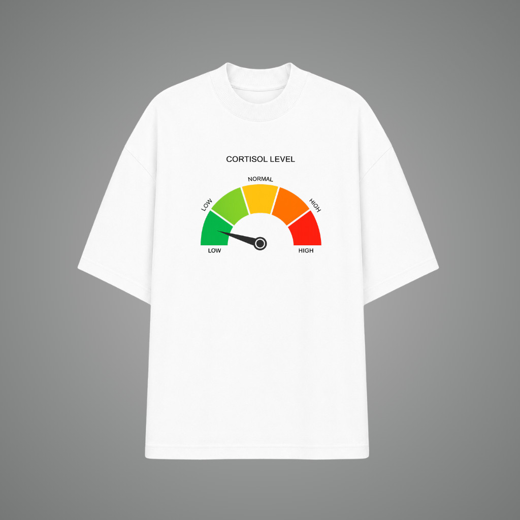Camiseta Oversized Low Cortisol Meme Viral TikTok Humor Streetwear Premium Unissex