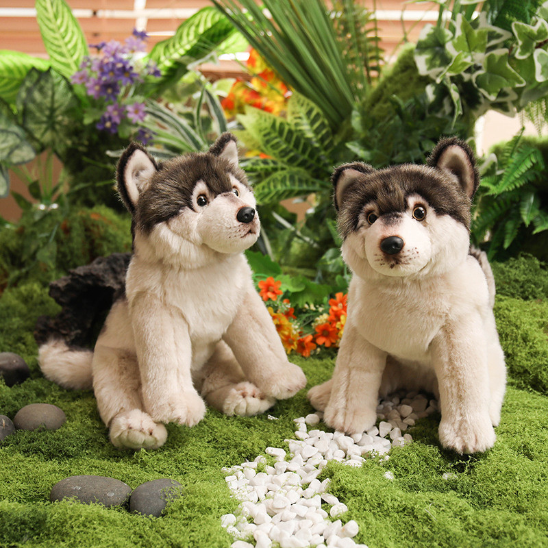 Boneca Realista De Pelúcia husky Floresta Lobo Bicho De Alta Qualidade Com Olhos De Pele Detalhados