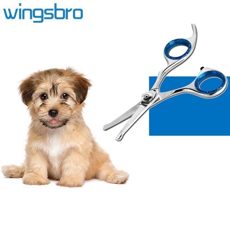 4,5" Tesoura de tosa para cães e gatos, pet tesoura para tosa de orelha e nariz  com ponta redonda de segurança para uso