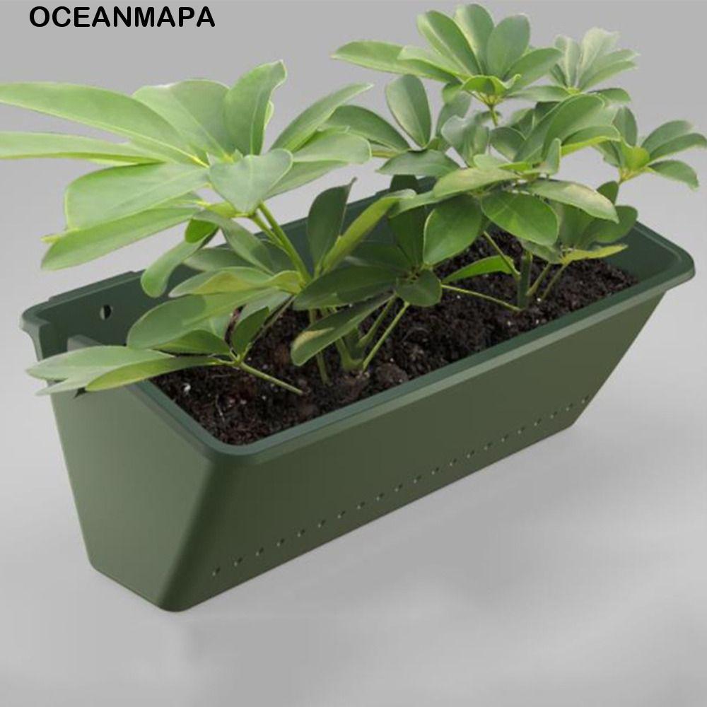 Caixa De Plantio OCEANMAPA , Vaso De Flores Verde Para Pendurar Na Parede , Ferramenta Bonsai , Recipiente De Sementes D
