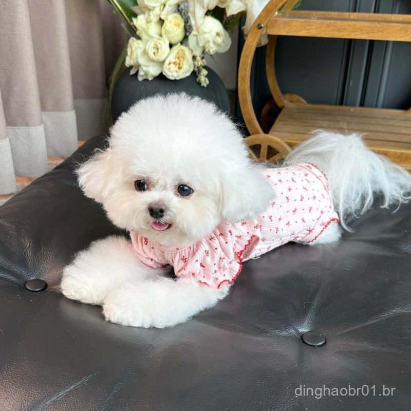 Roupa fofa para animais de estimação, estilo princesa, elegante, elástica, colete com mangas esvoaçantes, roupa protetor