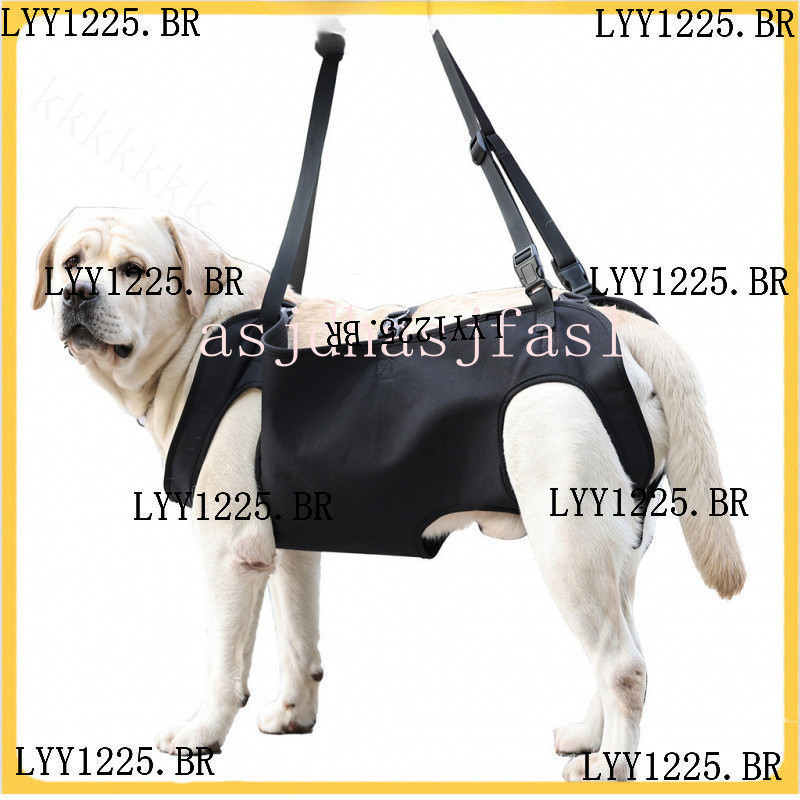 [DSChioce] Arnês De Suporte Para Cães Elevador Ajustável De Mobilidade Canina Animais De Estimação E Reabilitação Tipoia