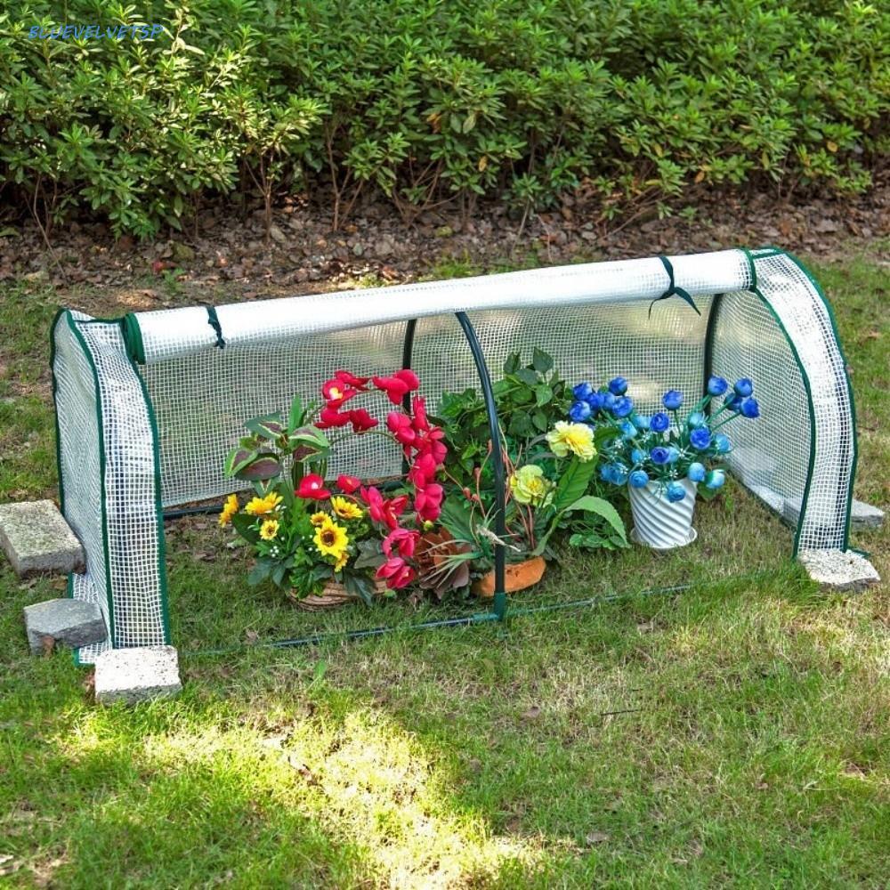 BLUEVELVETSP Mini Estufa Para Plantas , Barraca De Cultivo De Com Proteção Eficiente À Prova D'água , Plástico