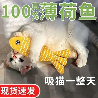 Brinquedo de gato de peixe Catnip de grandes dimensões auto-feliz alívio do tédio resistente à mordida simulação peixe g