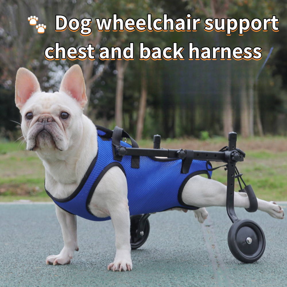[Disponível em quatro cores] Colete de suporte para cadeira de rodas para cães com deficiência para reabilitação