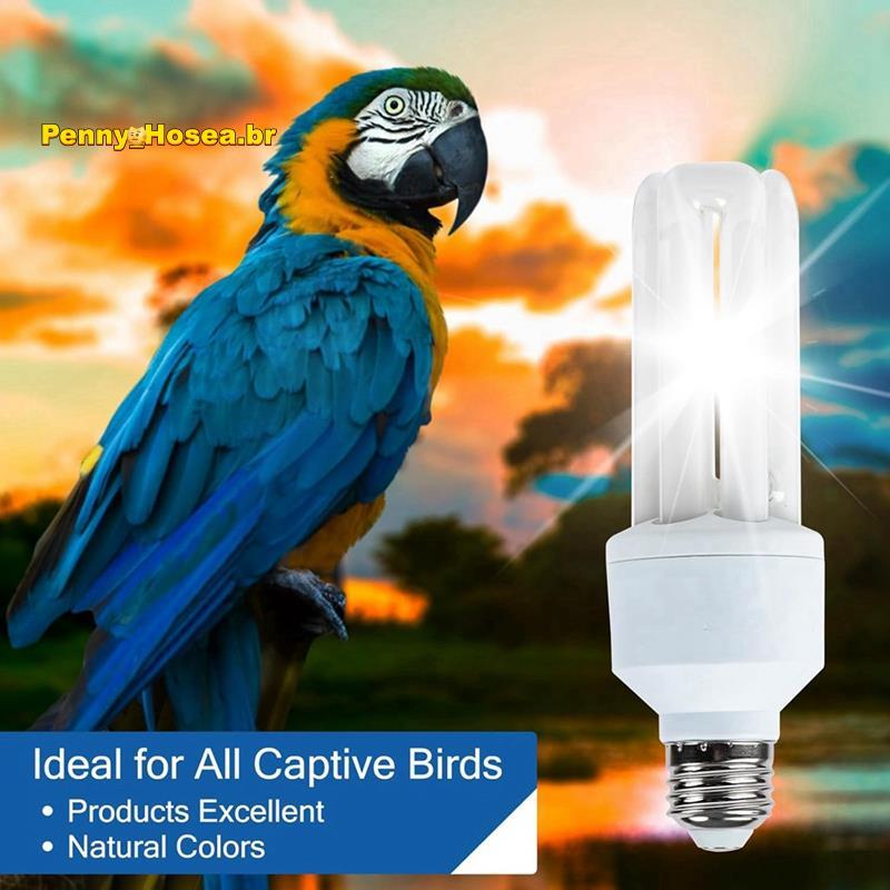 [Vendas Quentes P] UVA UVB Lâmpada 2.4 20W Fluorescente Compacta Para Pássaros Todos Os Tipos Cativos B