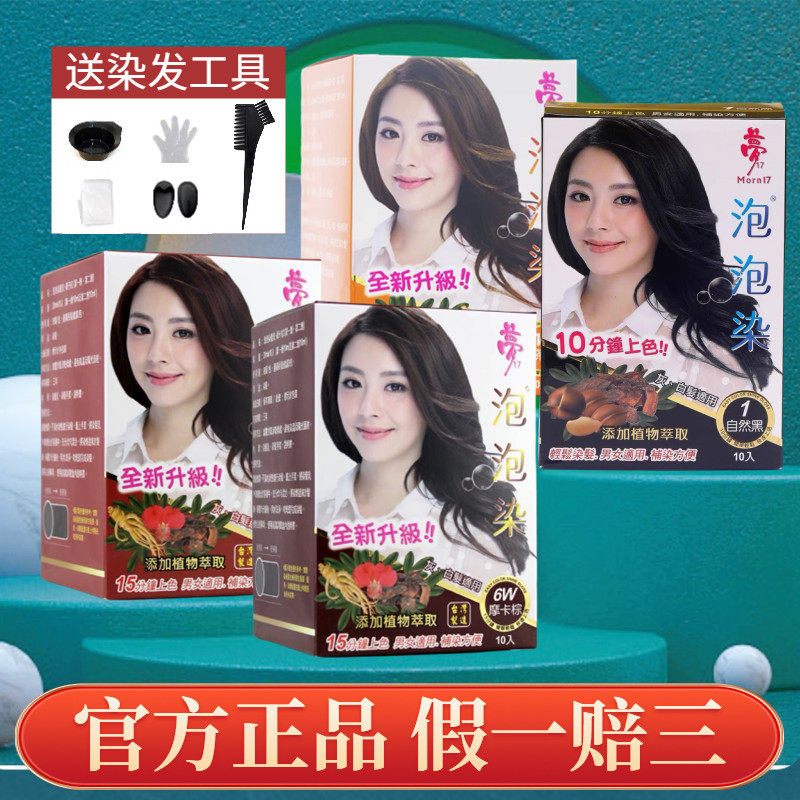 Taiwan importado sonho 17 bolha tintura de cabelo Natural pura planta tintura de cabelo creme amônia-livre capa cabelo b