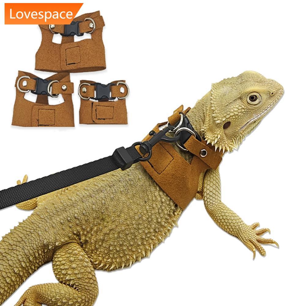 LS-STORE 3 Pçs Split Lagarto Trela Respirável Ajustável Réptil Arnês Corda De Tração Pet Para Dragão Barbudo Camaleão Es