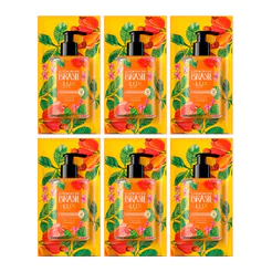 Kit 6 Sabonete Líquido para Mãos Lux Essências do Brasil Flor Cajueiro Refil 240ml