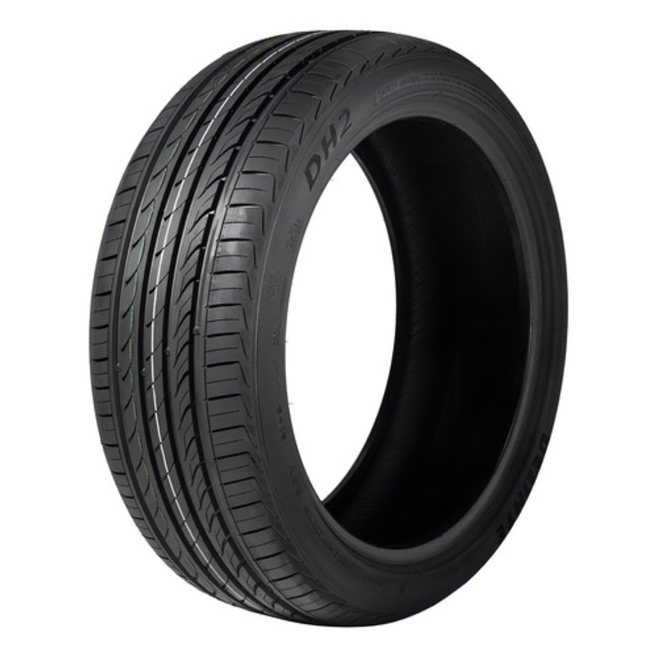 Delinte DH2