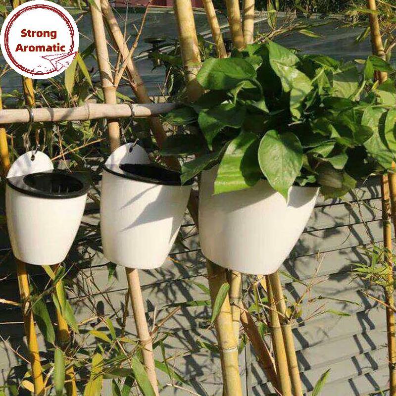 StrongArom Fixado Na Parede Interior Automático Absorvente De Água Vaso De Flores De Plástico Suculento Endro Verde Plan