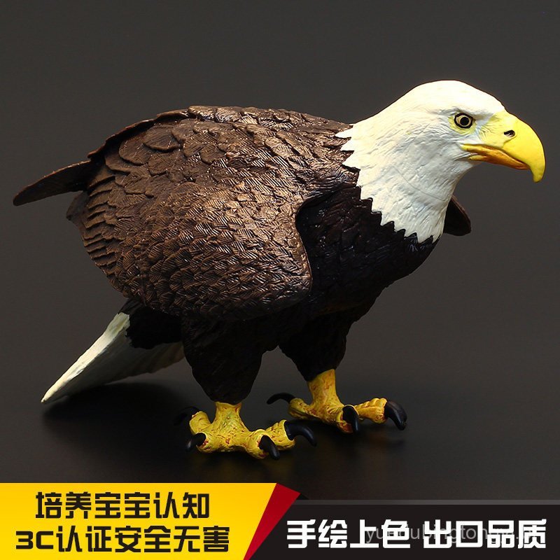 Novos modelos de brinquedos de animais realistas em tamanho grande: ornamentos de pássaros: águia, falcão, pipa, águia-d