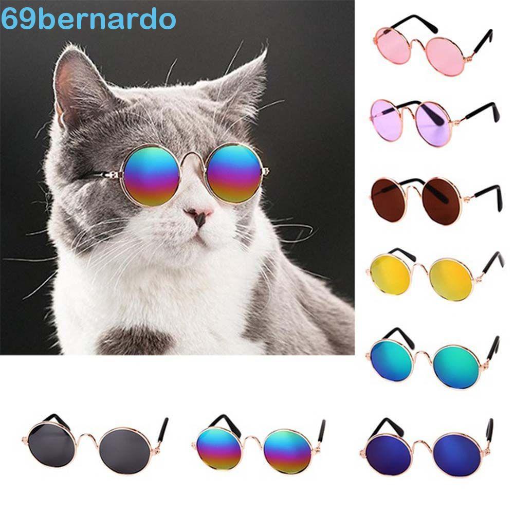 Óculos De Sol BERNARDO Redondos Vintage Para Cães Pequenos E Gatos Decoração Reflexão Adorável
