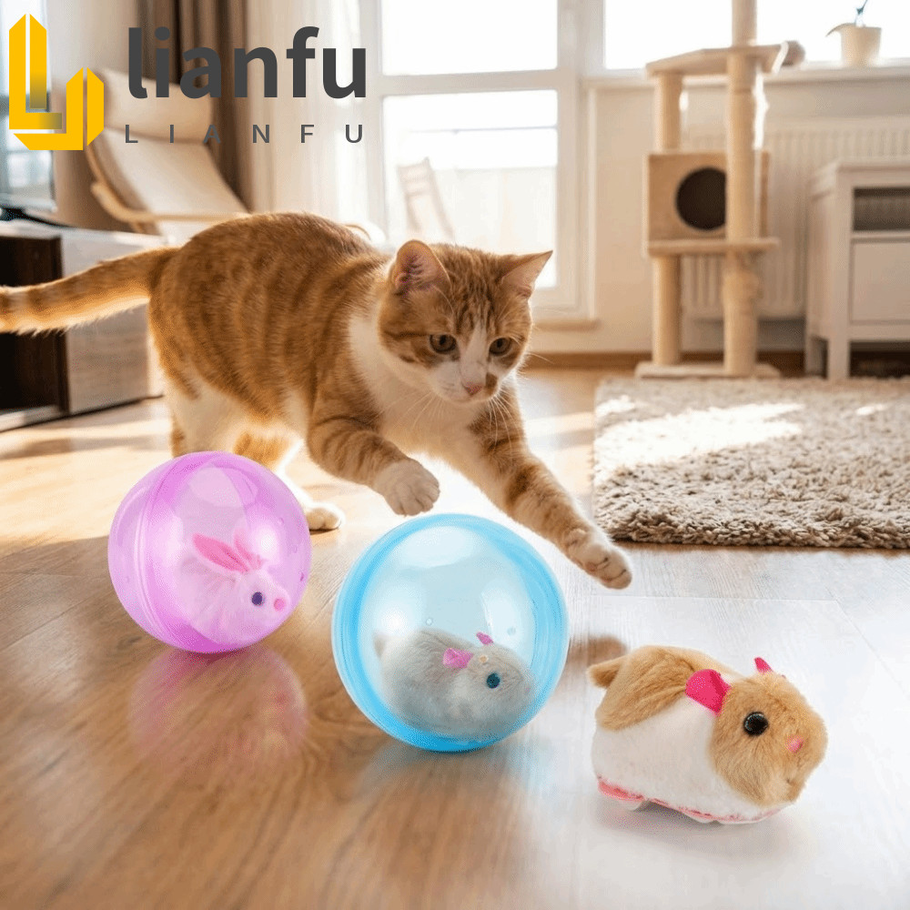 Bola De Perseguição De Gato LIANFU , Brinquedo Interativo De Plástico Transparente Para , Hamster Animal De Pelúcia Embu
