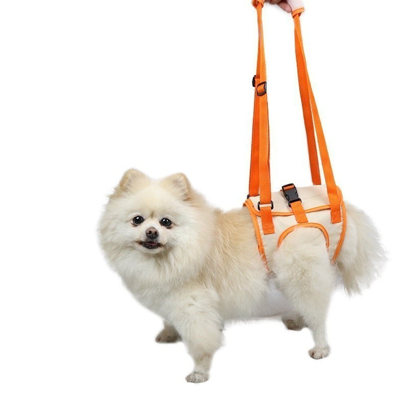 Arnês de Suporte para Pernas Traseiras de Cães, Cinta Ajustável para Suporte de Quadril, Acessórios para Animais de Esti