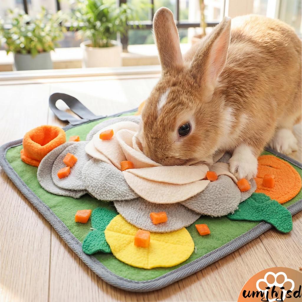 Coelho Snuffle Esteira Forrageamento Quebra-Cabeça Brinquedo Almofada De Alimentação Para Cobaia Hamster Filhote De Cach