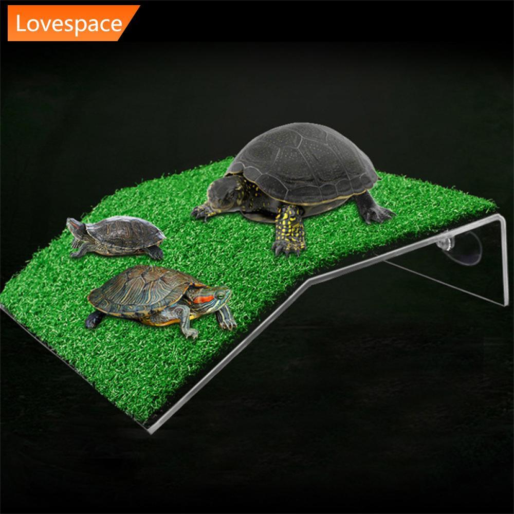 LS-STORE Tartaruga Plataforma Flutuador Decoração Aquário Para Pequeno Réptil Ventosa Secagem Fácil Instalar Simulado Gr