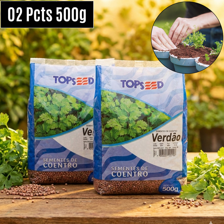 Pct 1Kg Sementes Coentro Verdão Aroma forte Hortaliças p/ plantio e cultivo - Topseed
