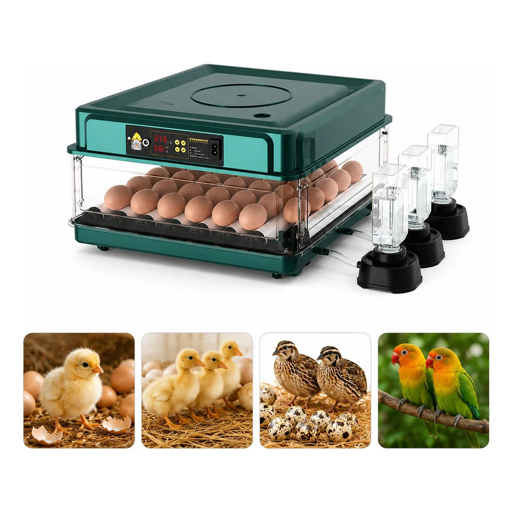 Chocadeira automática 48/64/72/130 ovos Bivolt viragem automática controle temp umidade ovoscópio galinha codorna pato