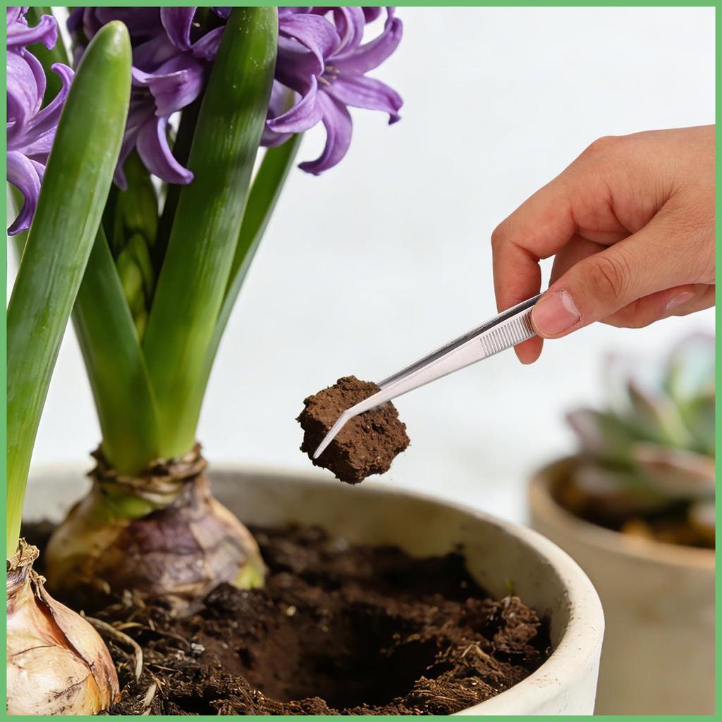 Ferramentas De Jardinagem Interna Ferramenta Resistente Plantio Para Bonsai Cactus Vaso Mesa Casa Quintal kouzxbr