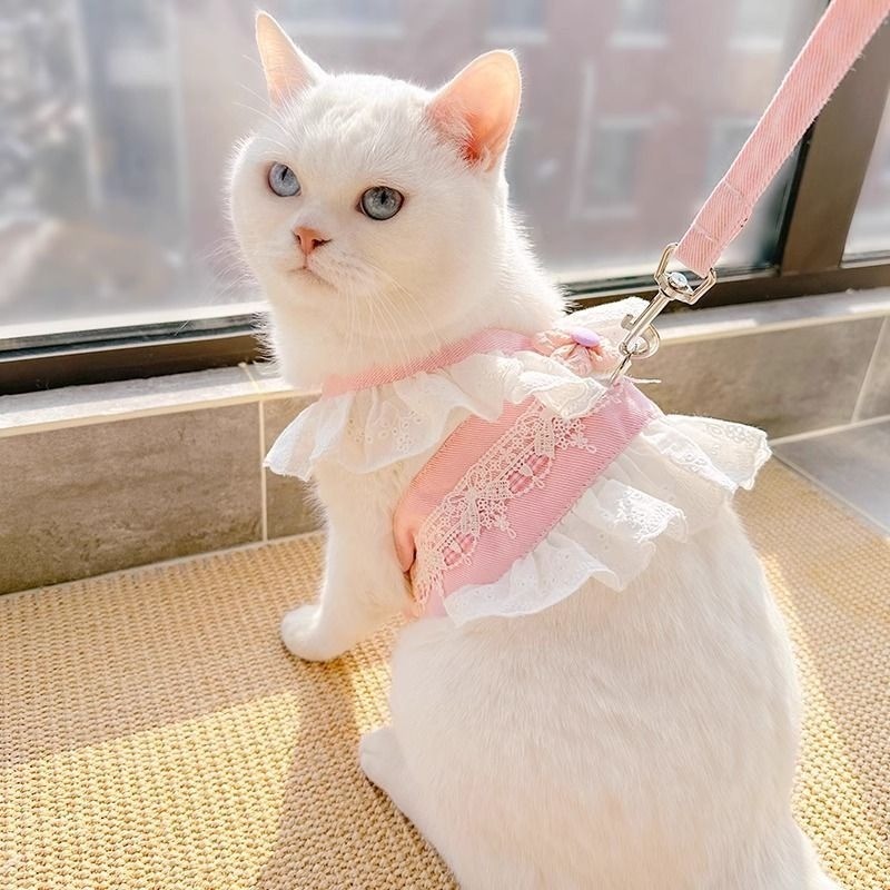 Arnês Para Gatos Respirável Cães Pequenos Vestido De Renda Anti Fuga Com Trela De 1.5 M Verão Leve Alça Larga Ajustável
