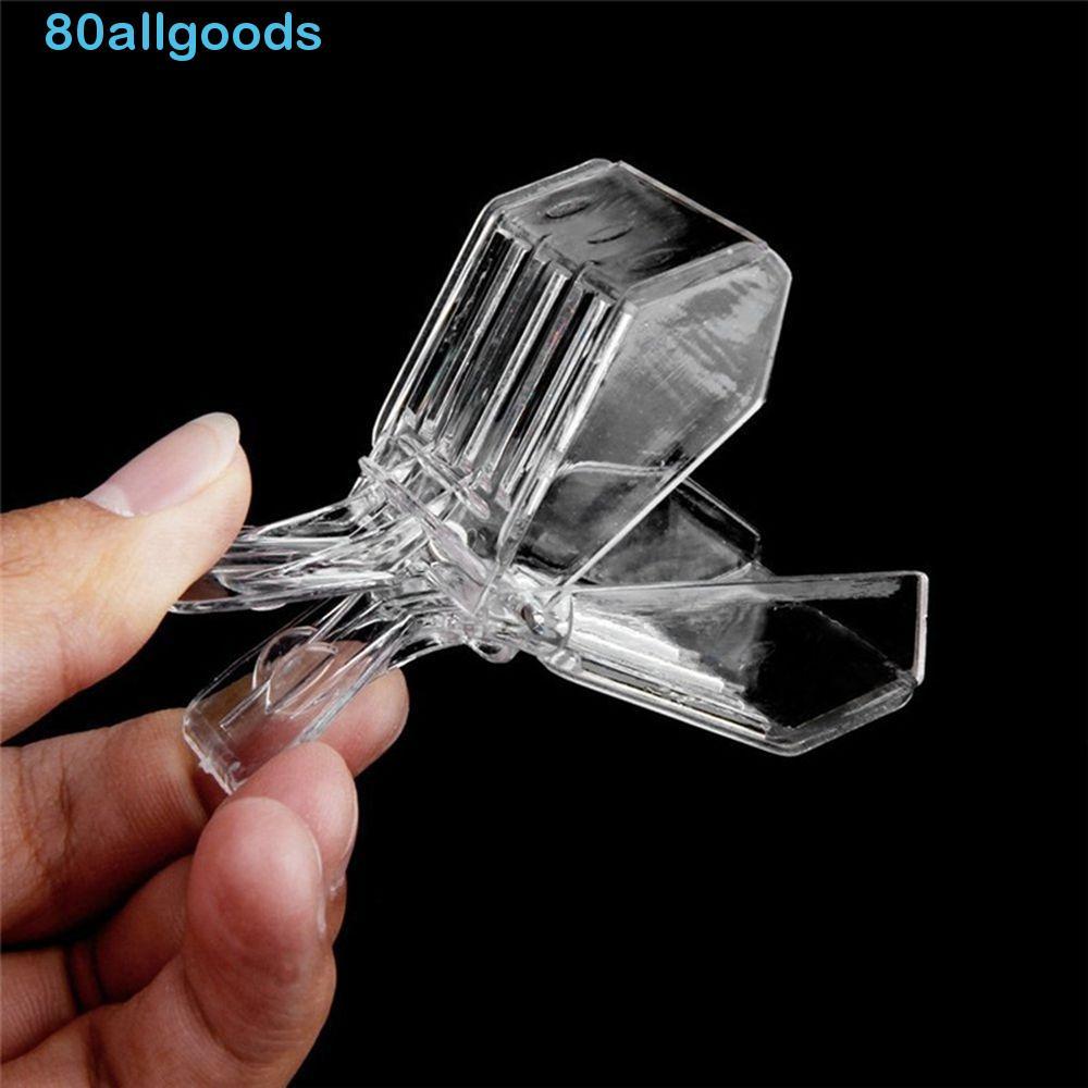 ALLGOODS1 Clipe De Abelha Caixa Insectária Transparente Equipamento De Apicultura Gaiolas Rainha Apanhador Apicultor Fer