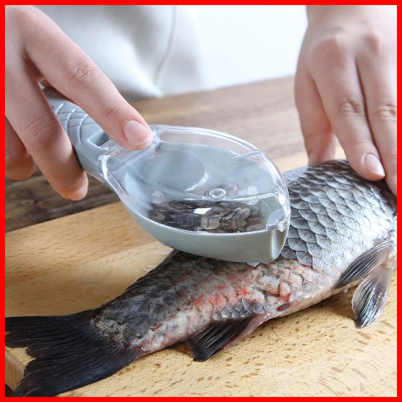 1 unidade de raspador manual de escamas de peixe/removedor de escamas de peixe para cozinha