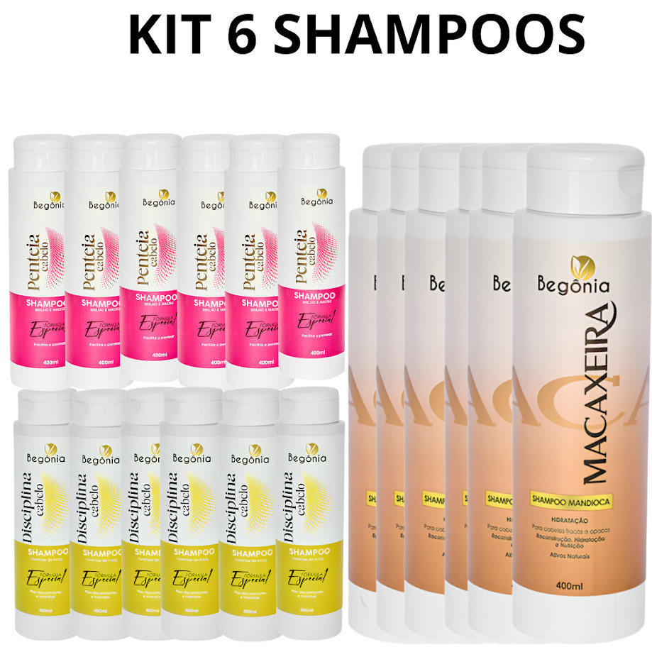 Shampoo  6 unidades Tratamento e Cronograma Capilar Kit Profissional Begônia