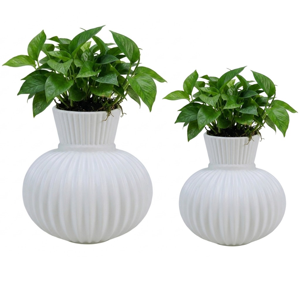 Vaso de Plantas Branco Minimalista Moderno para Decoração - Castela