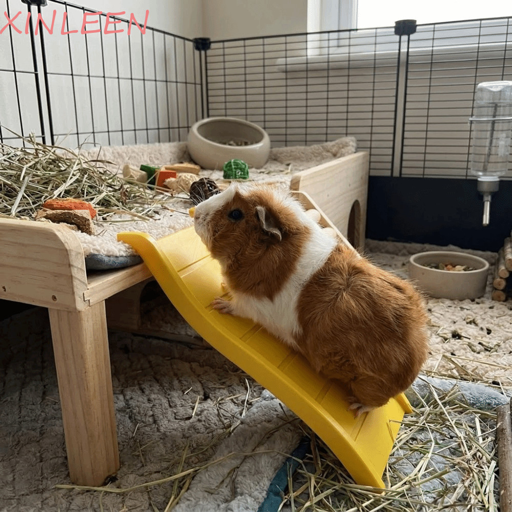 Escada De Escalada Para Hamster XINLEEN , Interativa De Ouriço Em Forma De Onda , Brinquedo Decorativo De Quebra-Cabeça