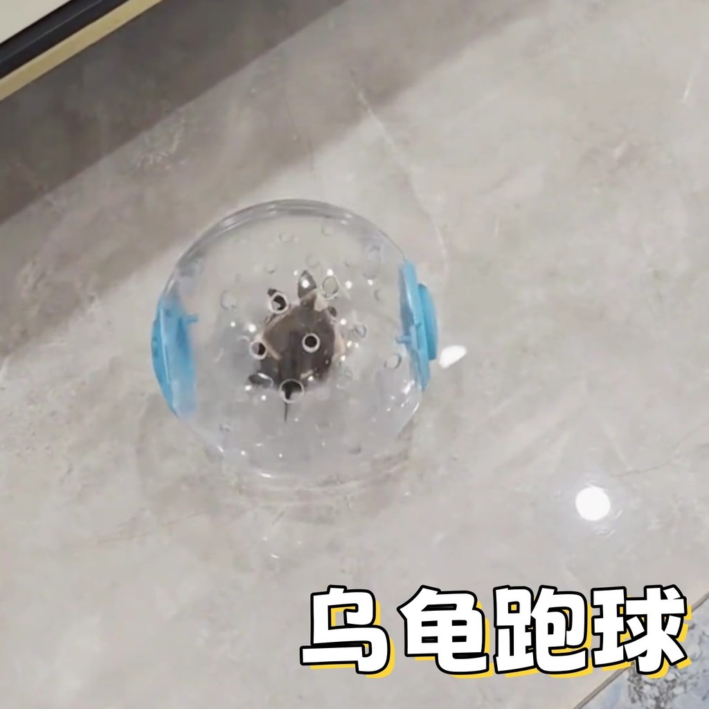 Tartaruga brinquedo especial Hamster correndo bola correndo roda rolo esportes bola suporte esquilo suprimentos andando