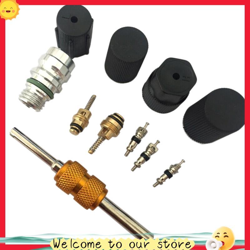 Haostontomjsassoon111pcs Universal AC R134A Válvula De Porta De Serviço Tampa Contra Poeira Ar Condicionado Removedor De