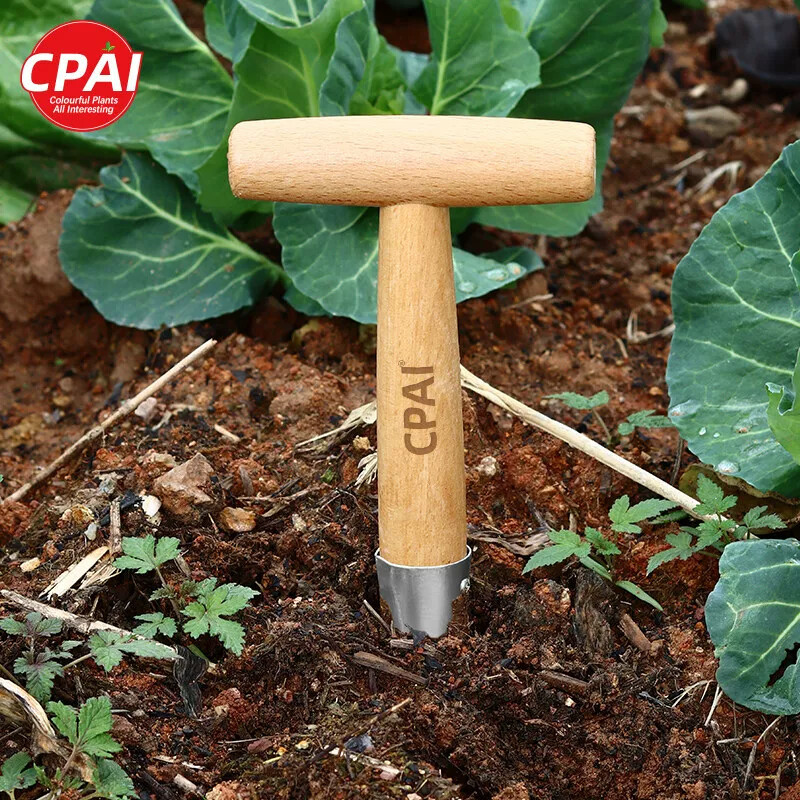 Ferramenta útil para manuseio de mudas, ferramenta especial para plantio de vegetais, perseguição de mudas, fertilizante