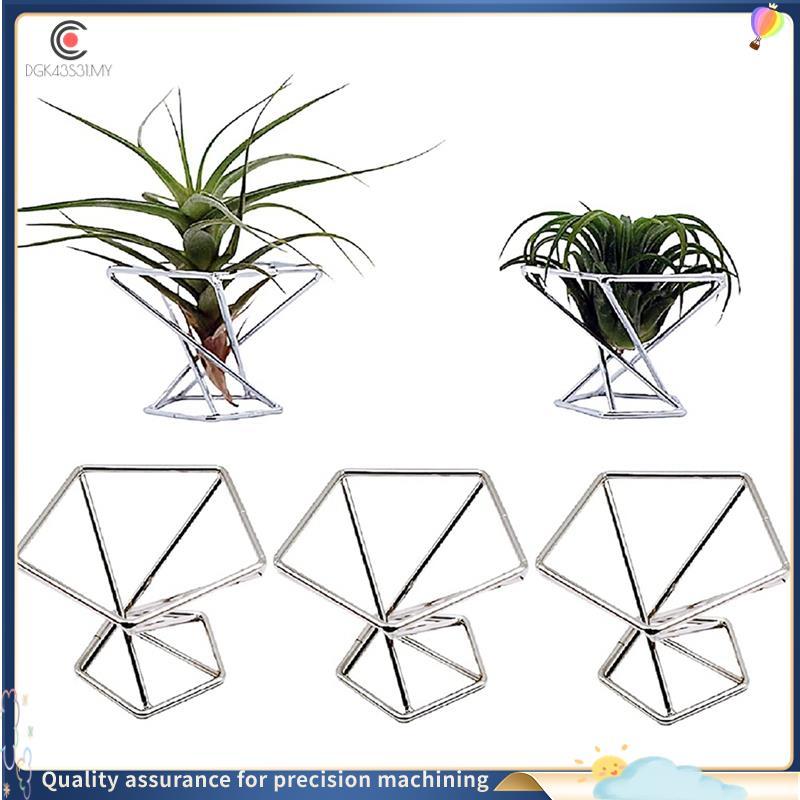 [hukou33] Pacote Com 5 Suportes Para Plantas De Ar Tillandsias Display Recipiente Purificação Suporte Samambaia , Prata