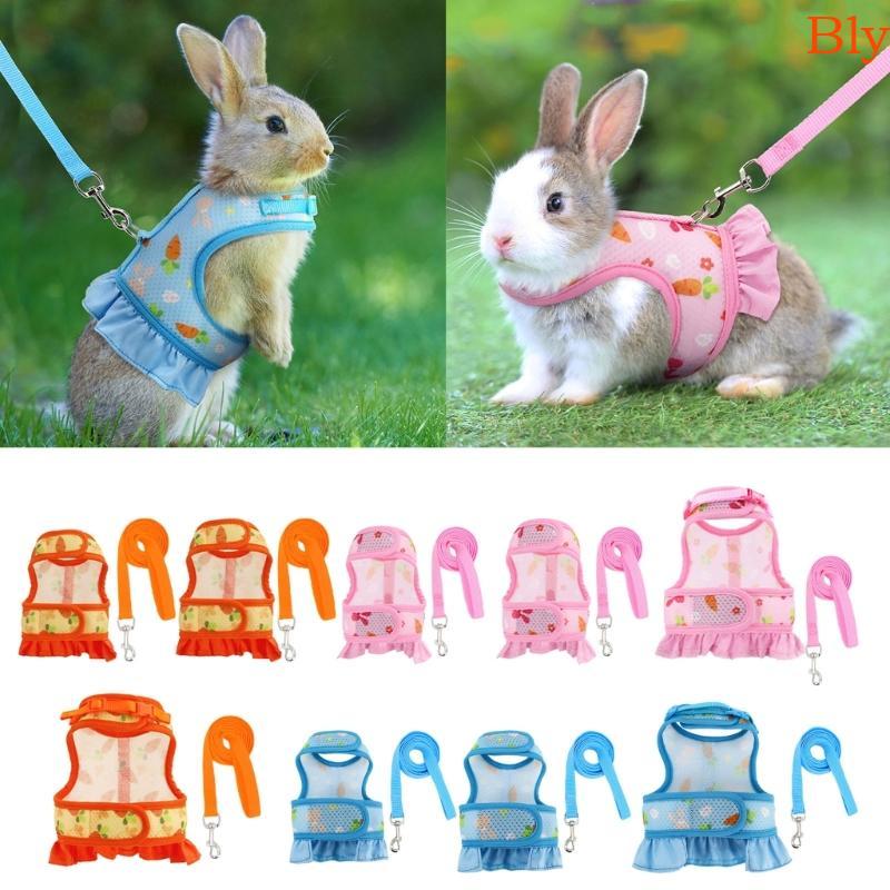 Bly Coelhos Arnês E Trela Roupas Animais Pequenos Para Cobaias Cenoura Vestido Har