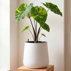 Vaso Autoirrigável Grande com Reservatório Integrado - Branco