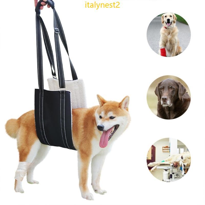 Billy Dog Mobilidade Arreios Confortáveis Slings Para Animais Estimação Durabilidade Arnês Ajuda Cães Suporte E Reabi