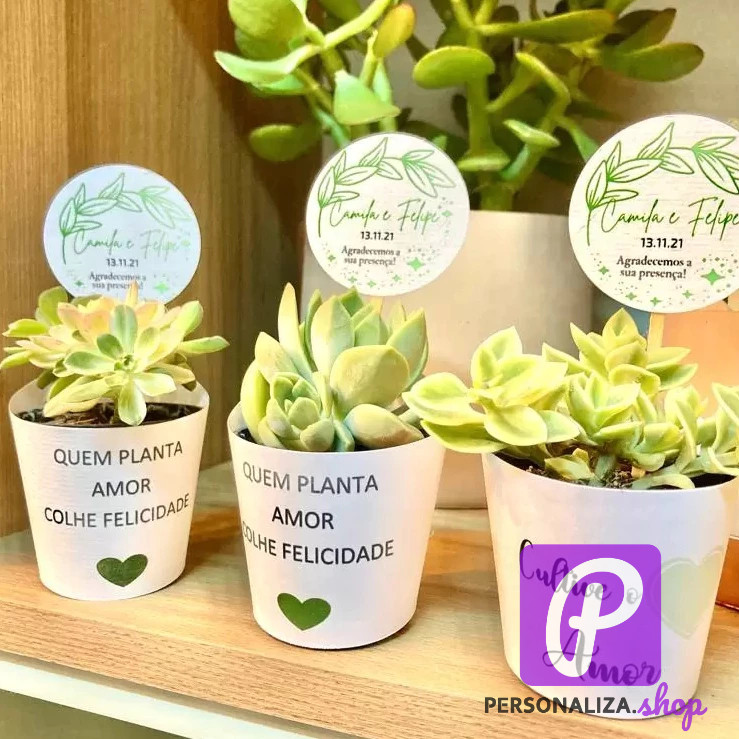 Rótulo + Tag Branca Suculentas P6 Personalizada para lembrancinhas,casamentos batizado aniversario festa  natal empresa